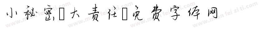 小秘密 大责任字体转换